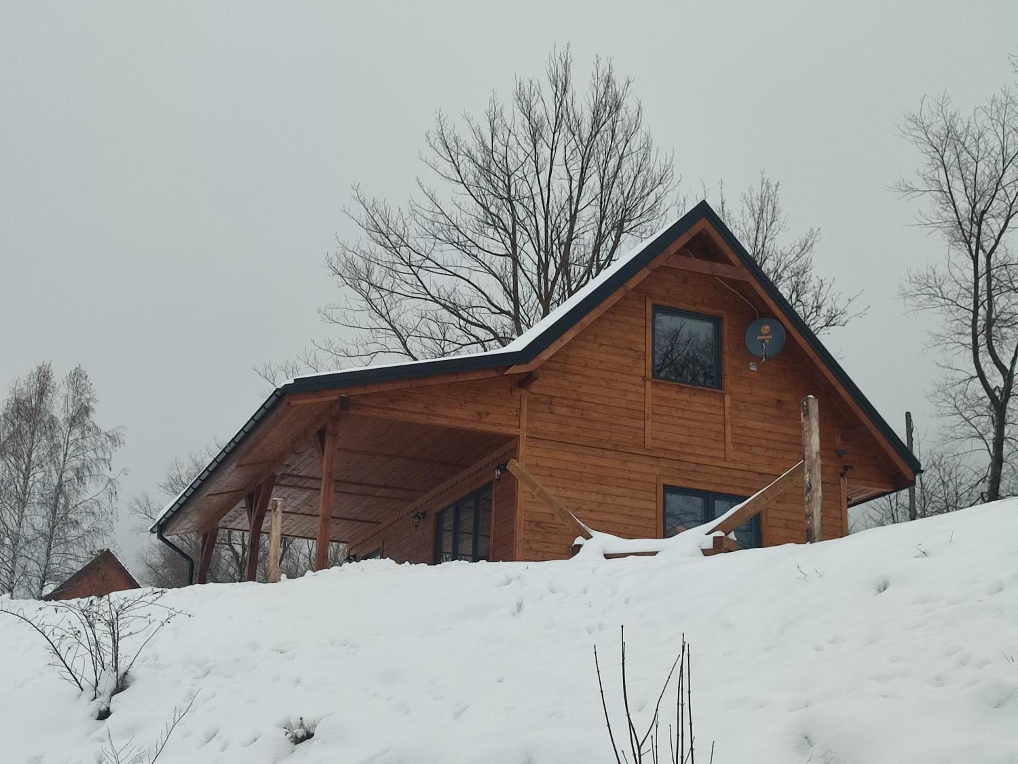 Villa Dzika Polana à Duszniki Zdrój Extérieur photo